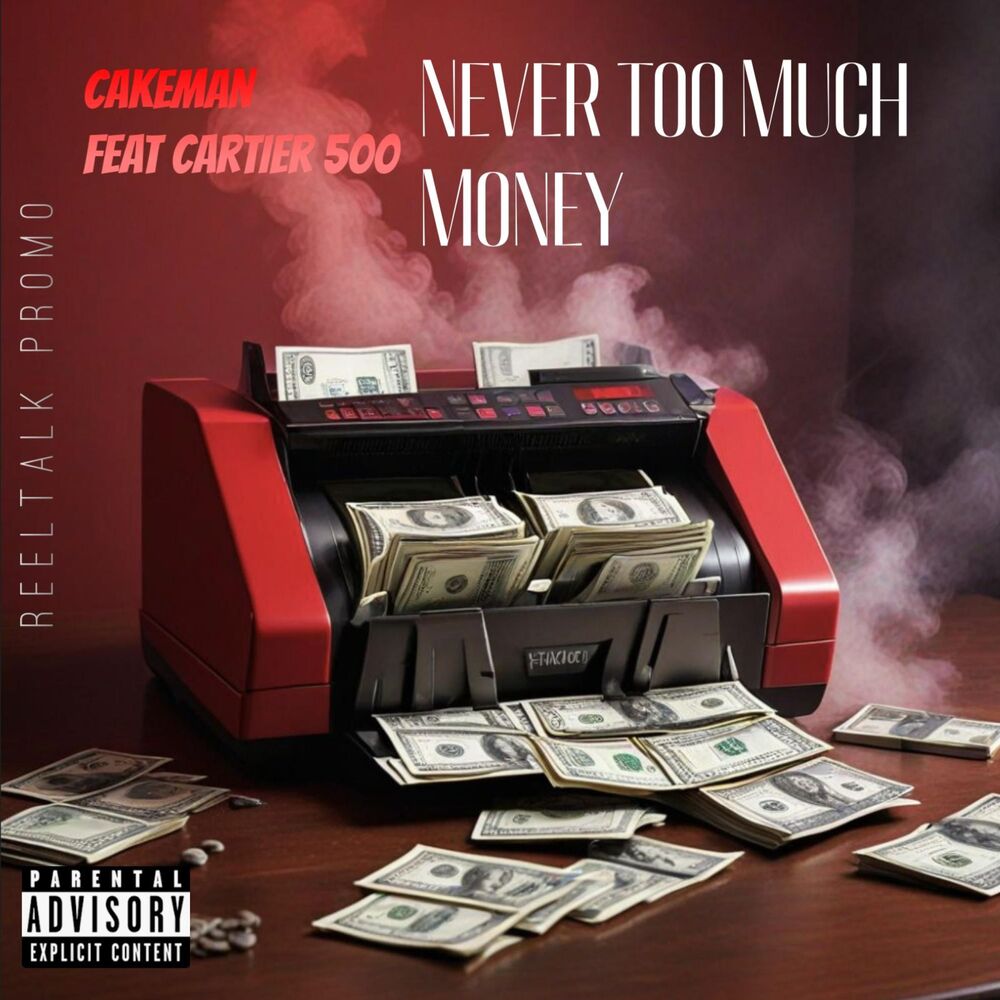 Picture of Never too much money (feat. Cartier 500)