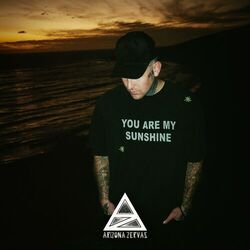 Cover of HAPPY NEVER AFTER