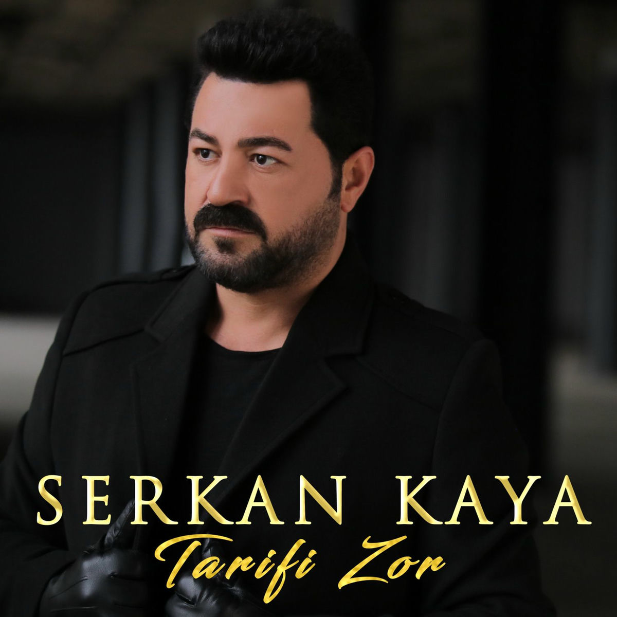 Album cover of Tarifi Zor
