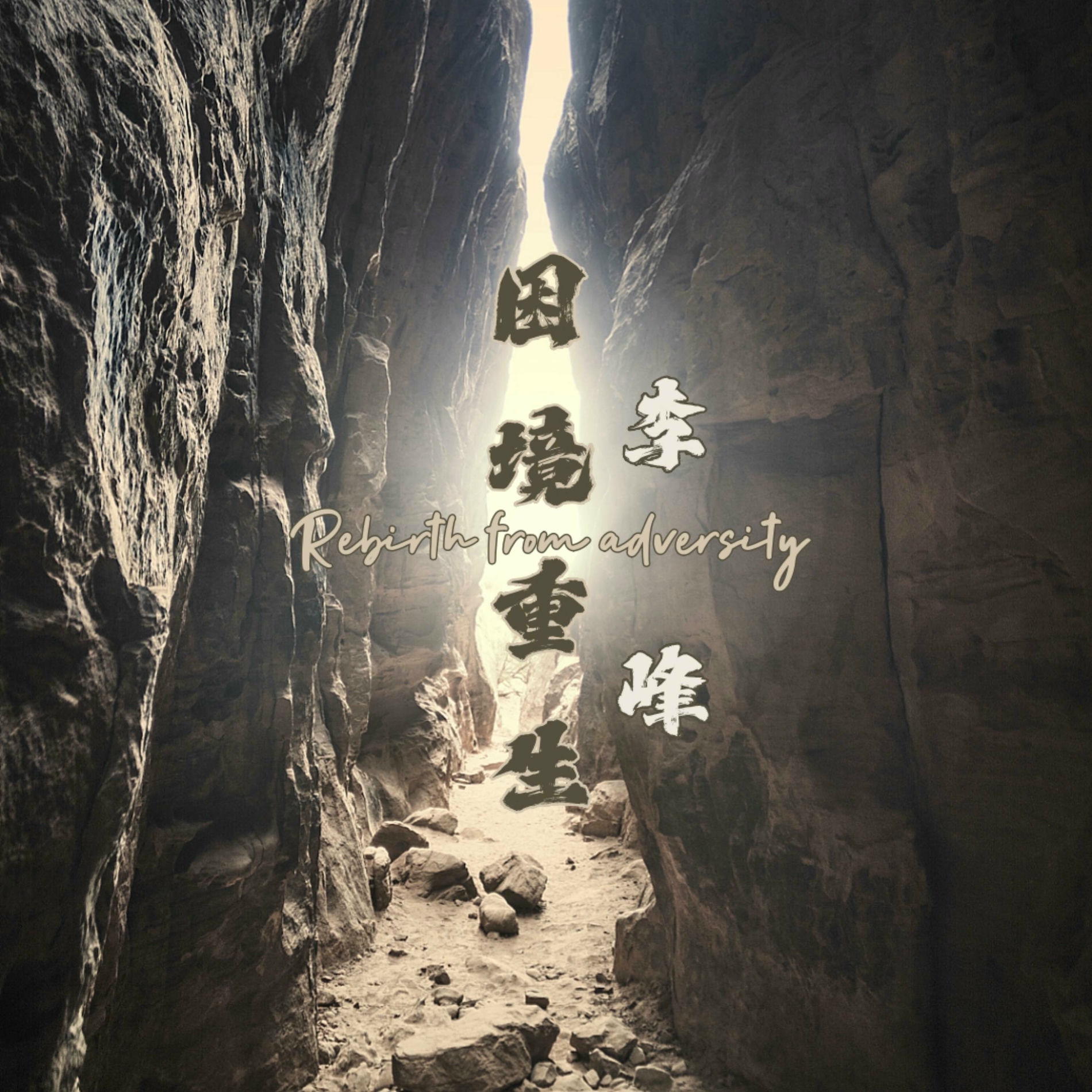 Album cover of 困境重生