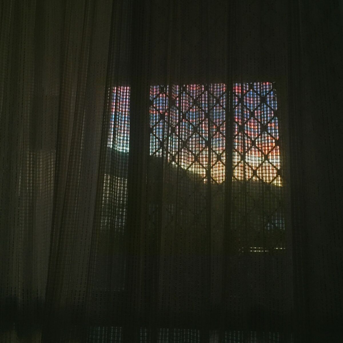 Album cover of tropical bump