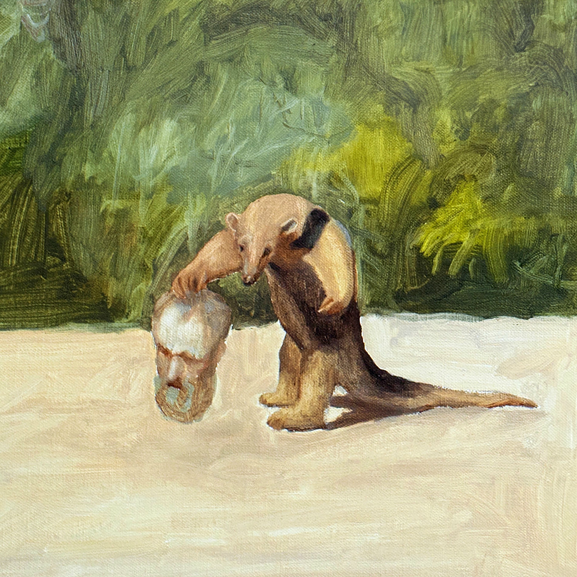 Album cover of Festa de Adeus 3