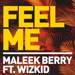 Cover of Feel Me