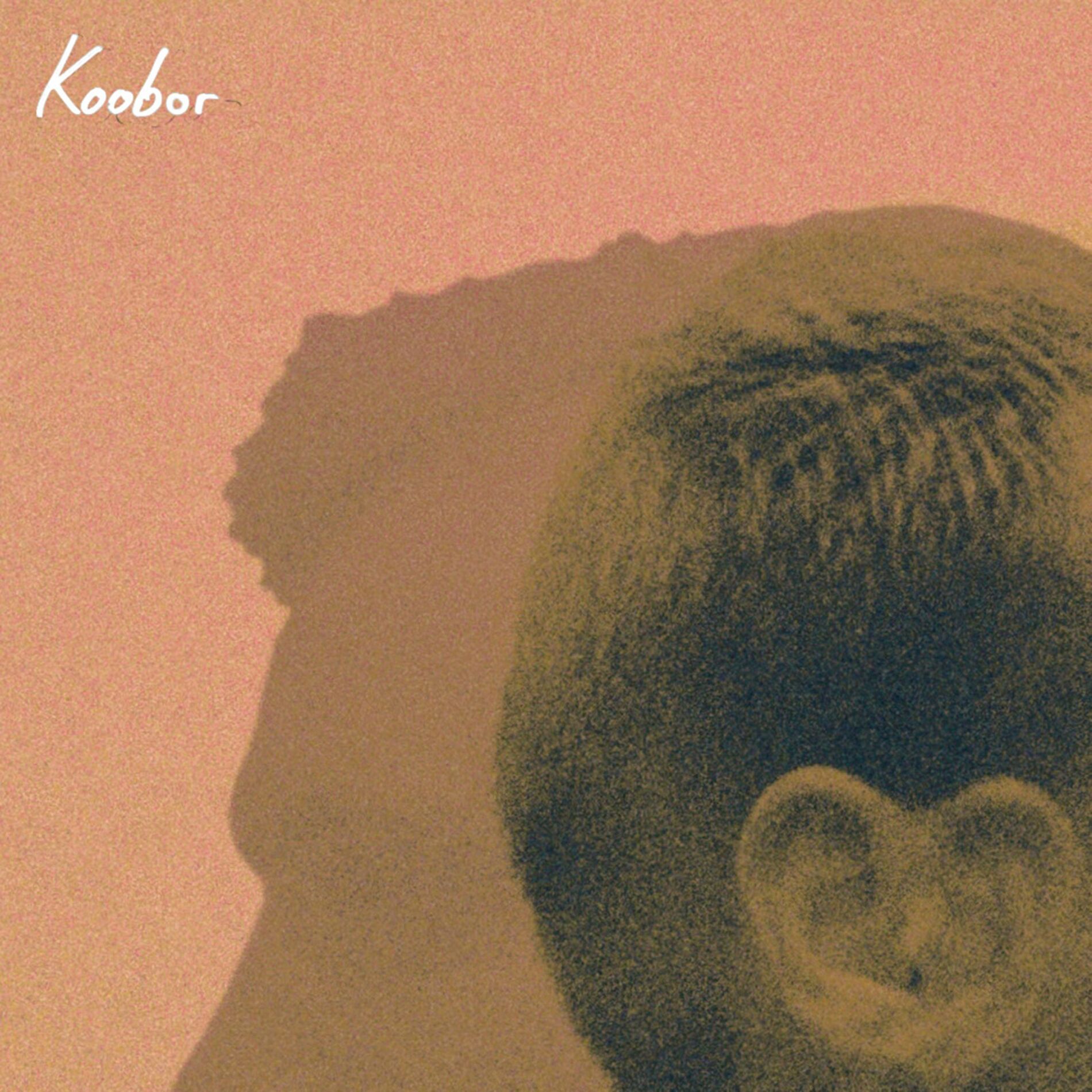 Album cover of Koobor