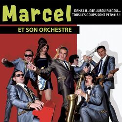 Cover of Dans la joie jusqu'au cou... Tous les coups sont permis !