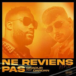 Ne reviens pas