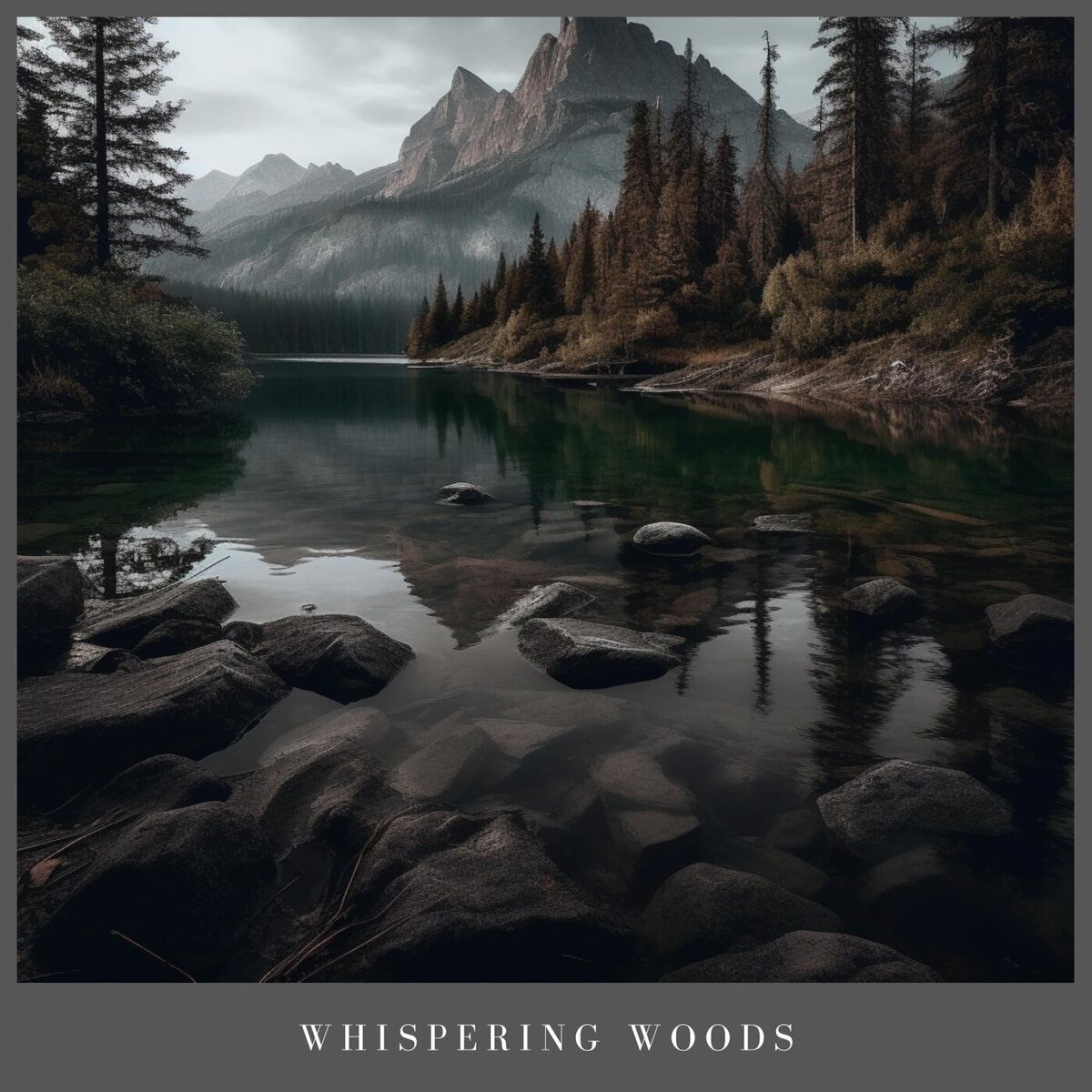Album cover of Whispering Woods