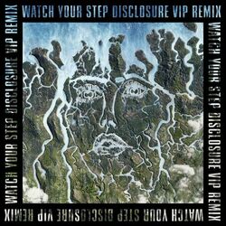Cover of Watch Your Step (Disclosure VIP)