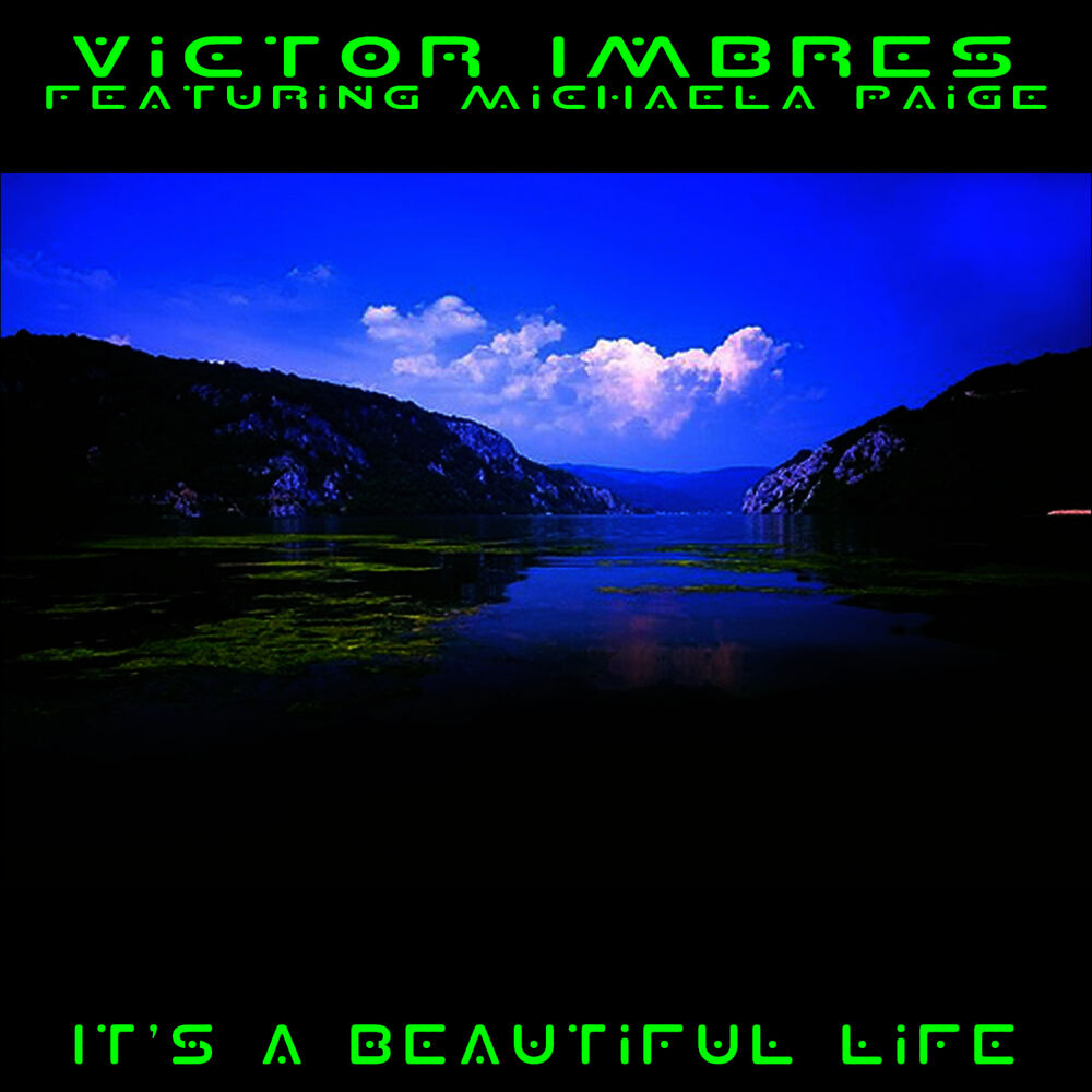 Picture of It's A Beautiful Life