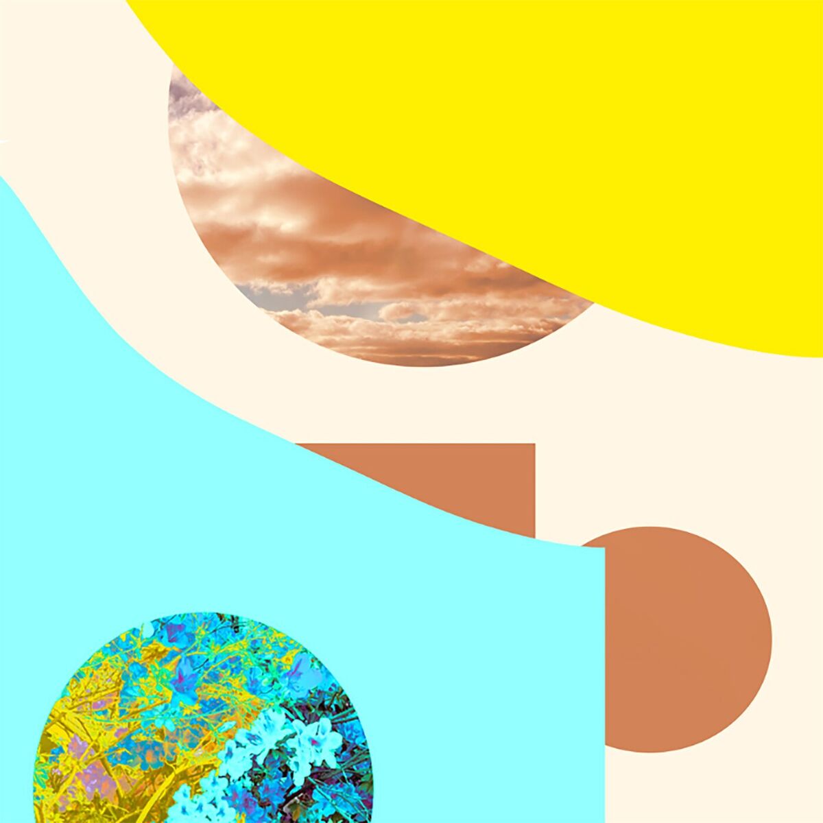 Album cover of dear surfers