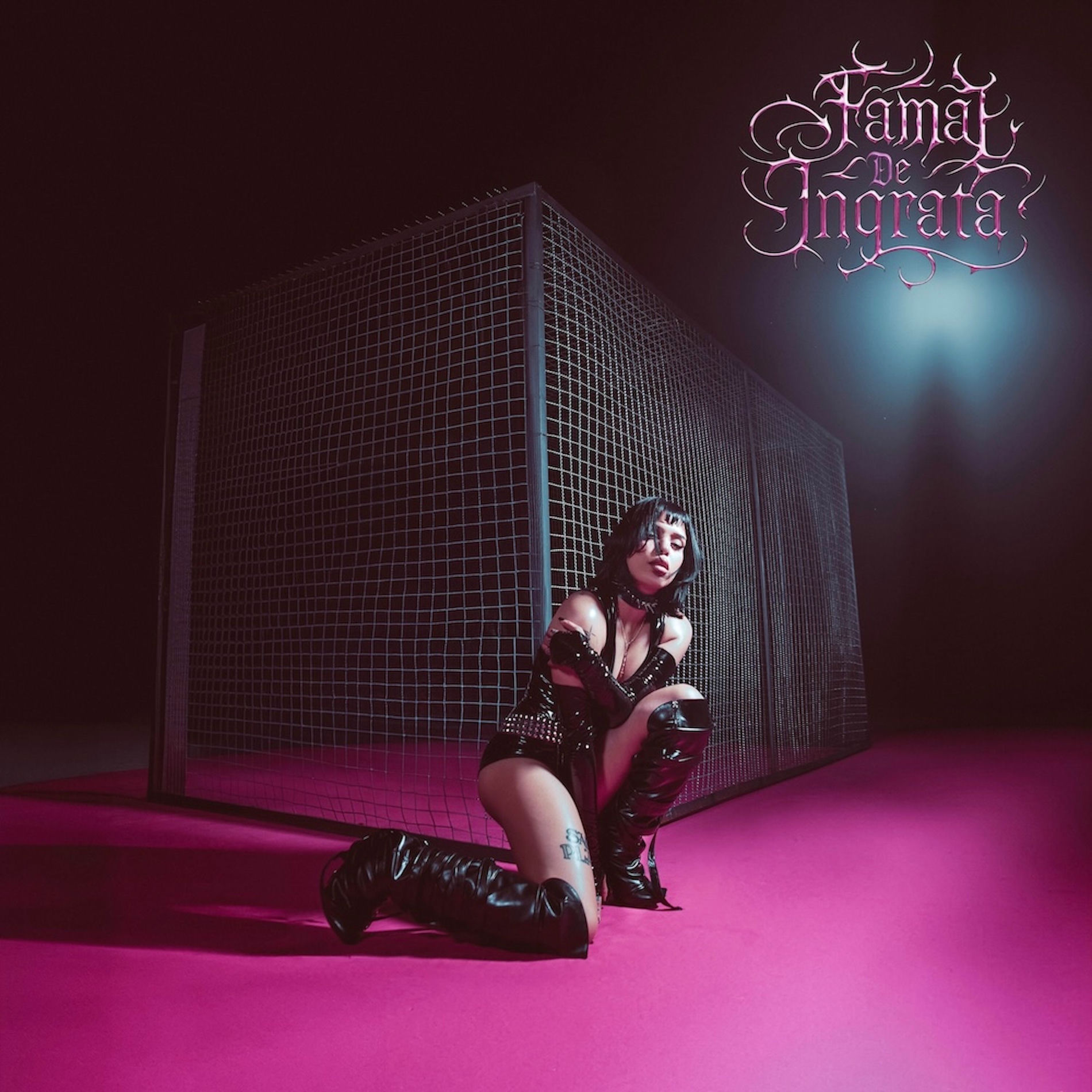 Album cover of Daisy