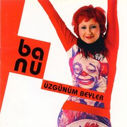 Cover of Üzgünüm Beyler