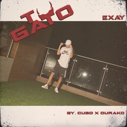 Cover of Tu Gato