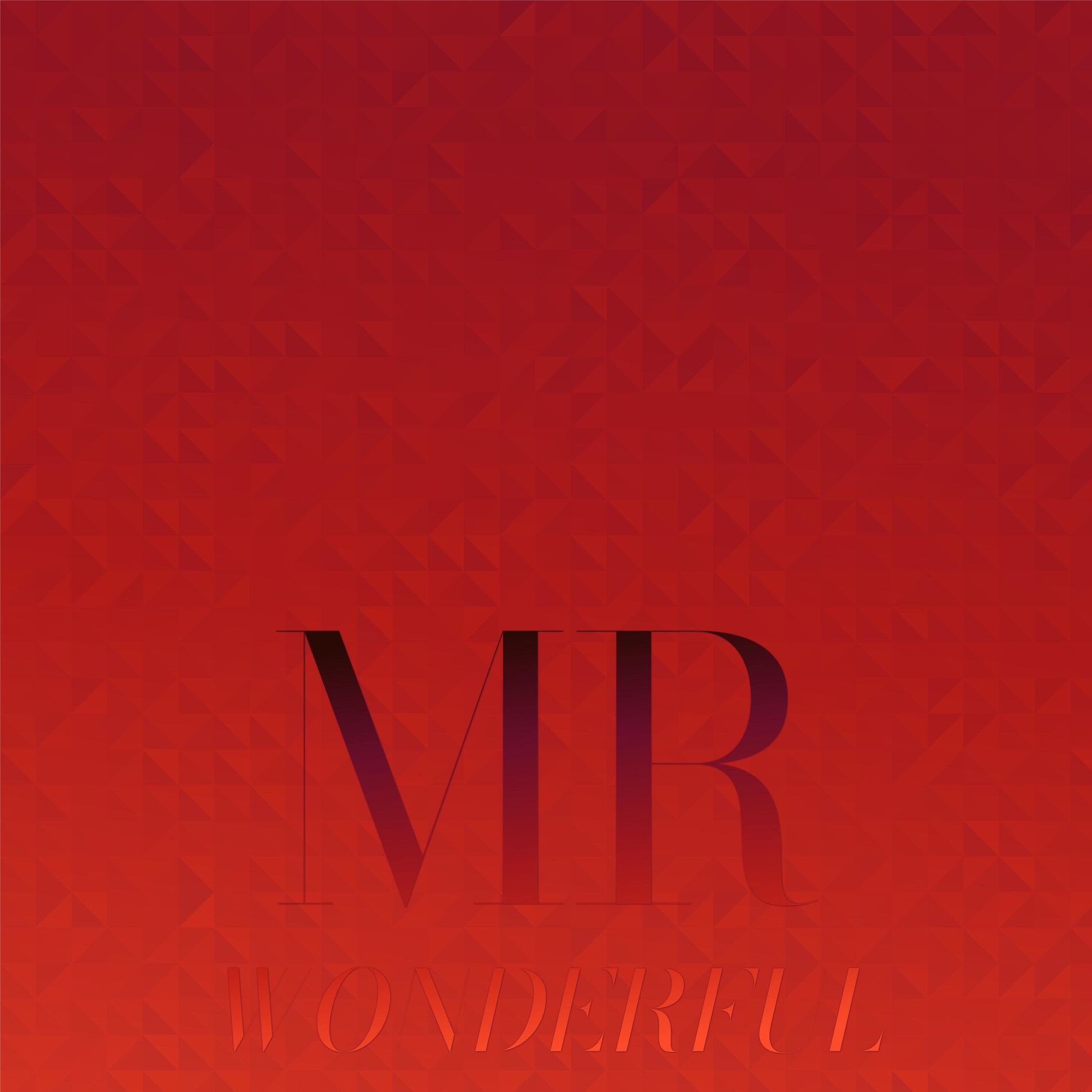 Album cover of Mr Wonderful
