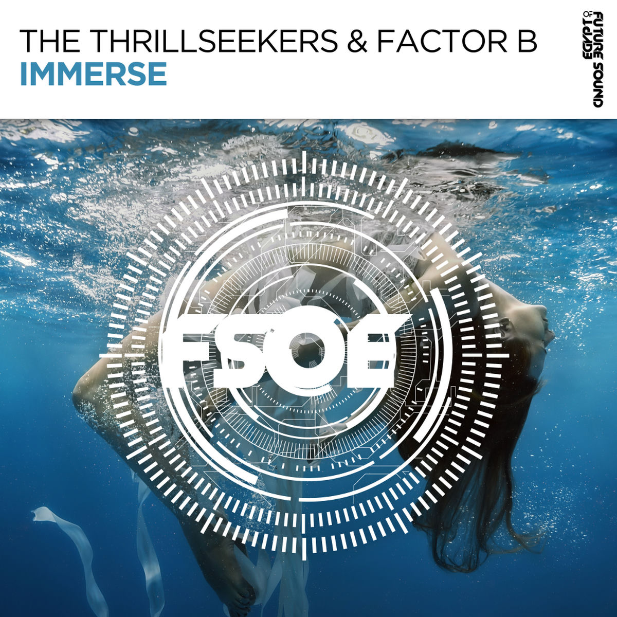 Album cover of Immerse