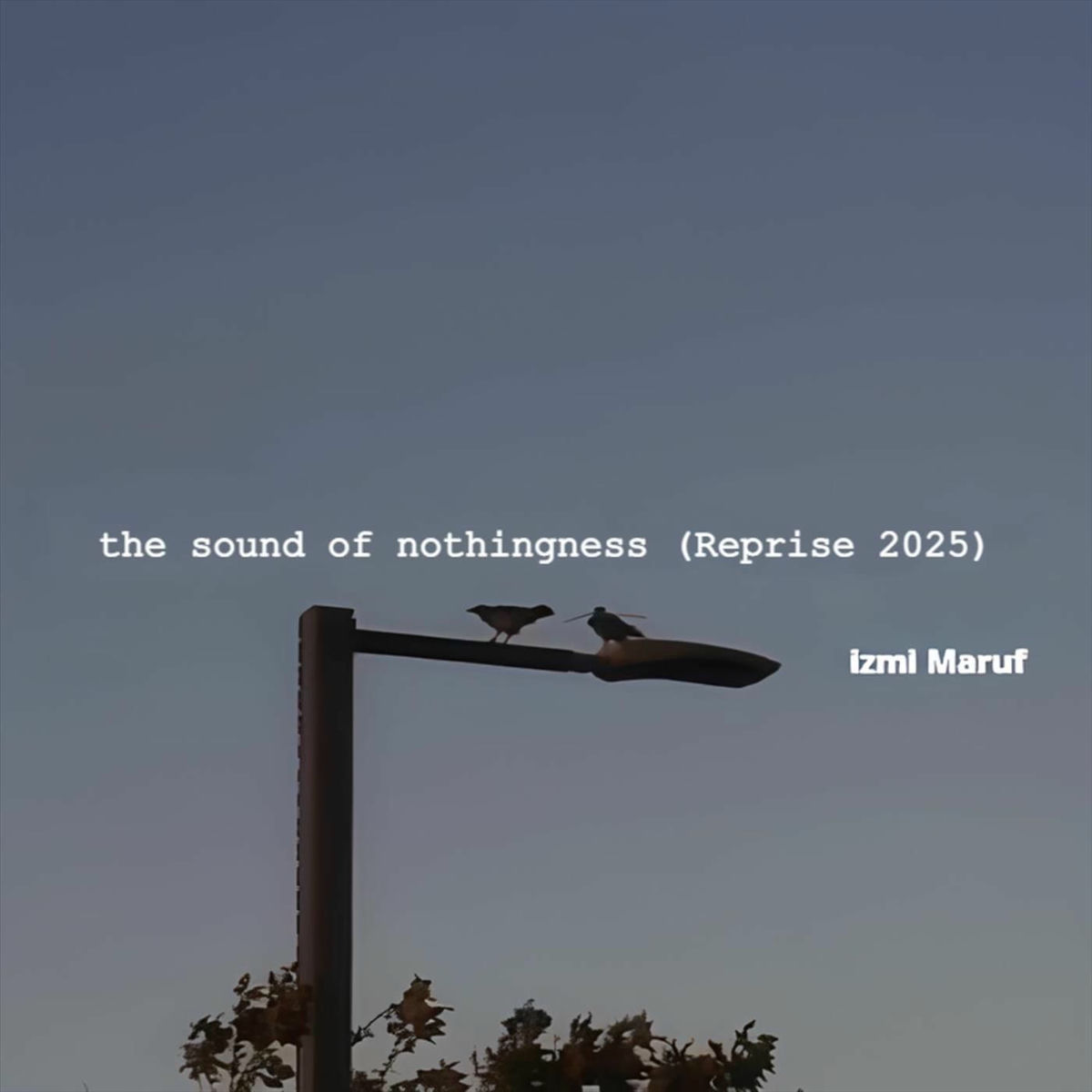 Album cover of The Sound of Nothingness (Reprise 2025)