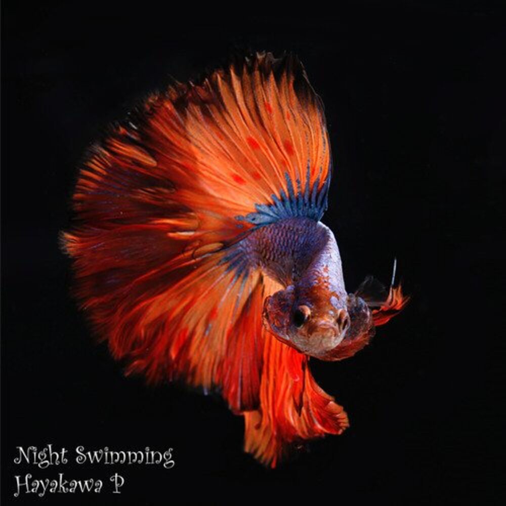 Picture of Night Swimming