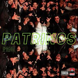 Cover of Patrinos