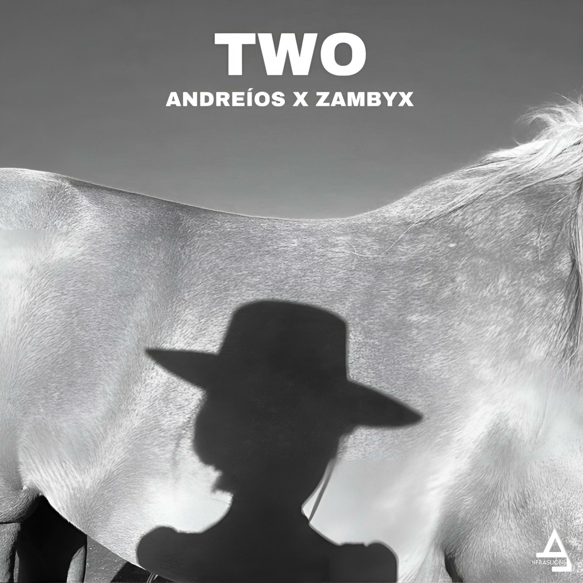 Album cover of TWO