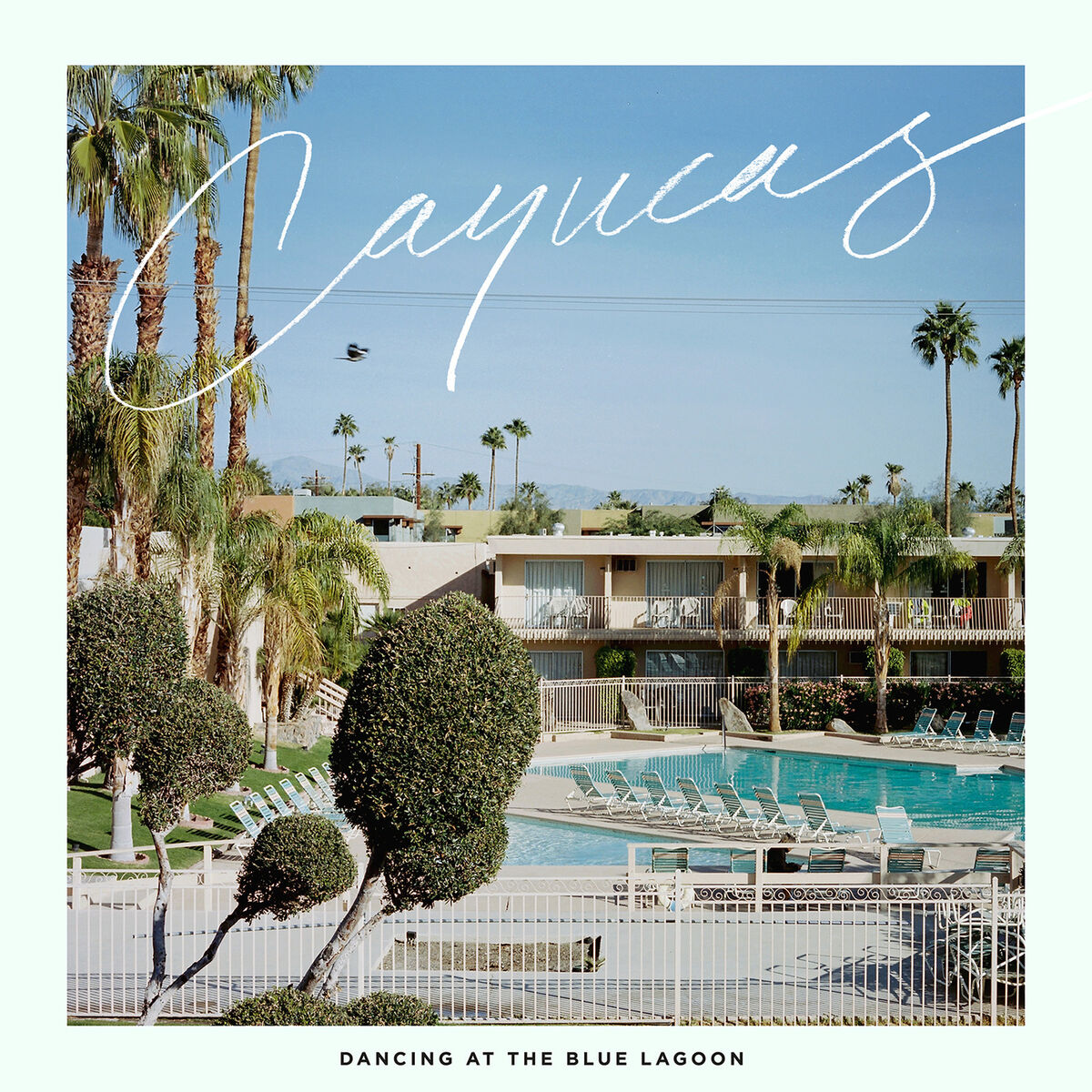 Album cover of Dancing at the Blue Lagoon