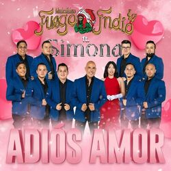 Cover of Adios Amor