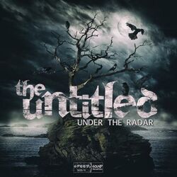 Cover of Under the Radar