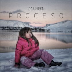 Proceso