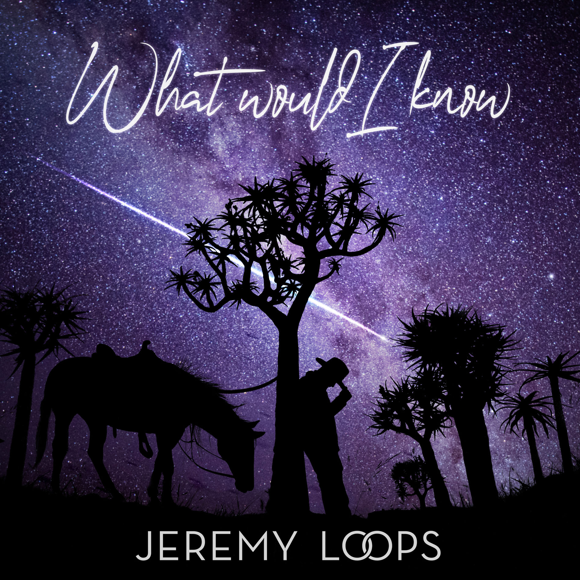 Album cover of What Would I Know