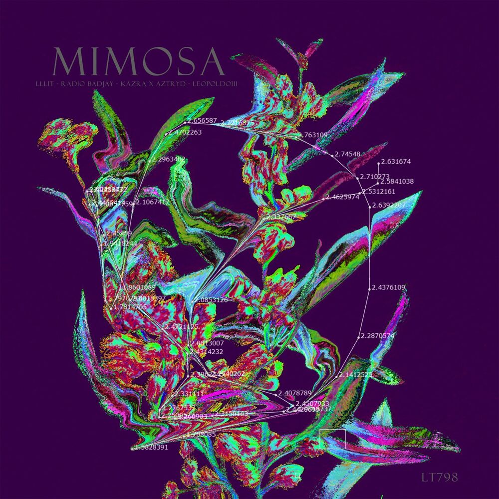 Picture of Mimosa