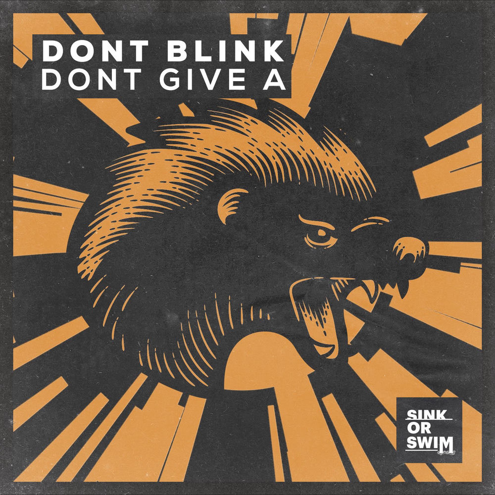 DONT GIVE A cover