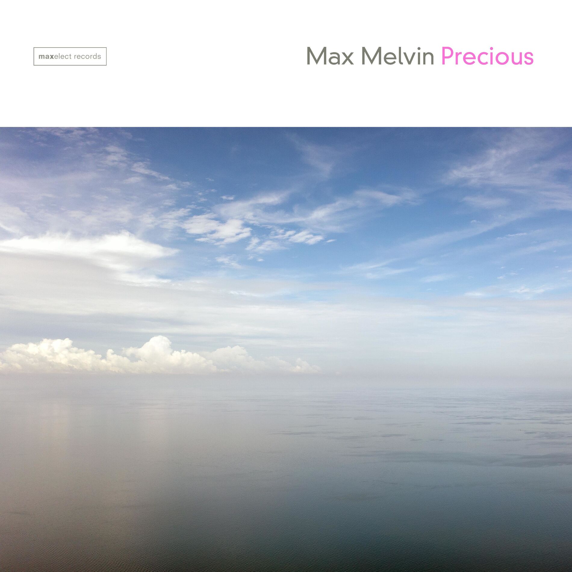 Album cover of Precious