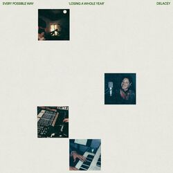 Cover of Losing A Whole Year