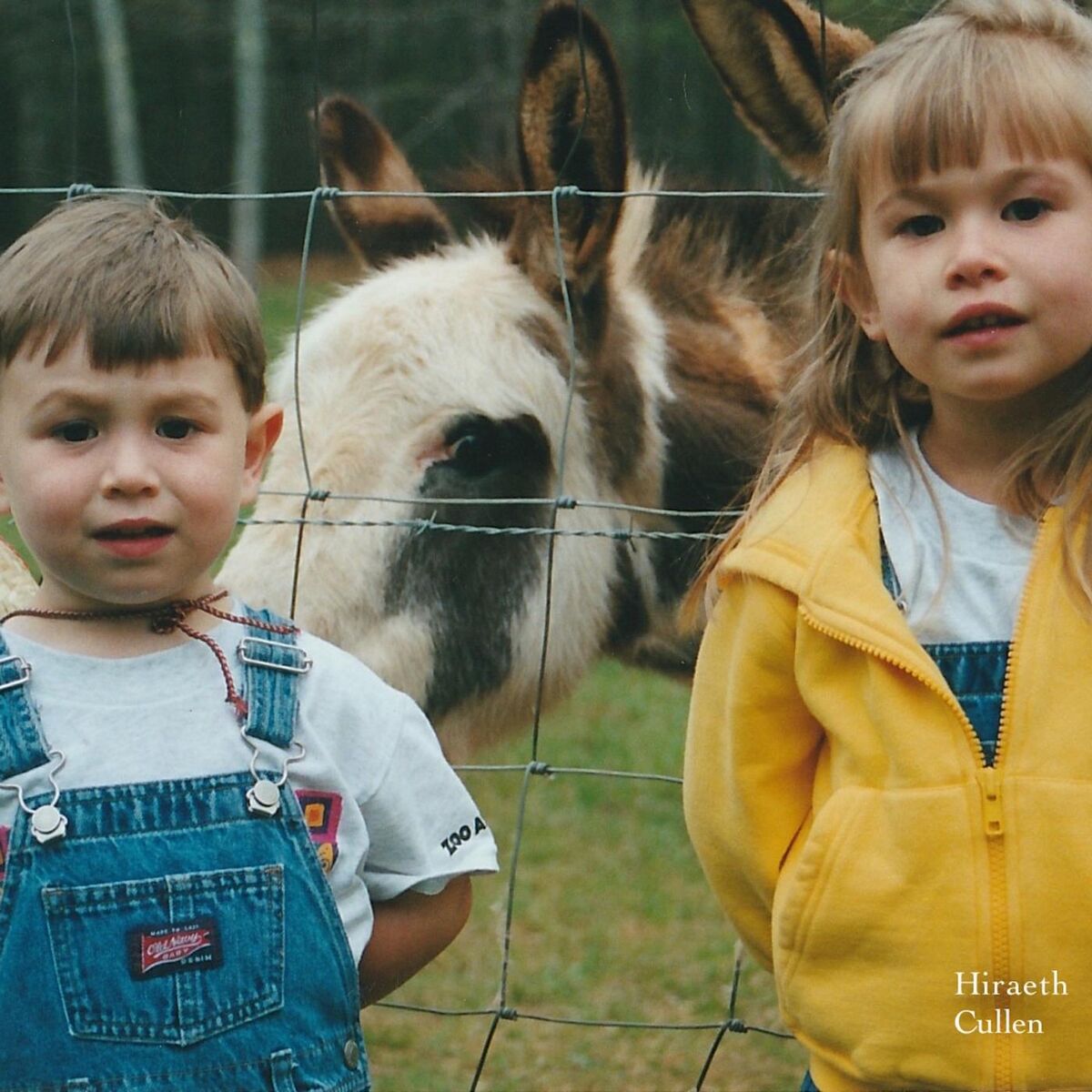Album cover of Roslyn