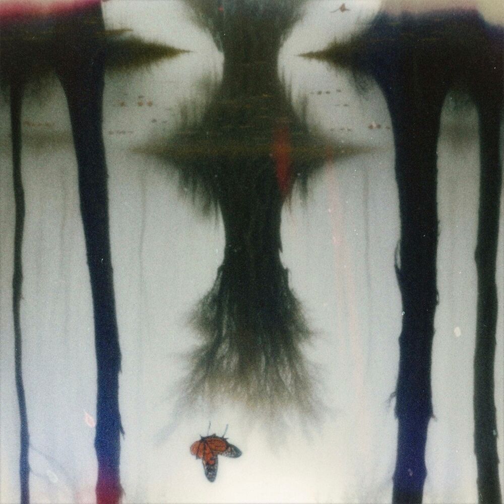 Picture of therapy: session 01