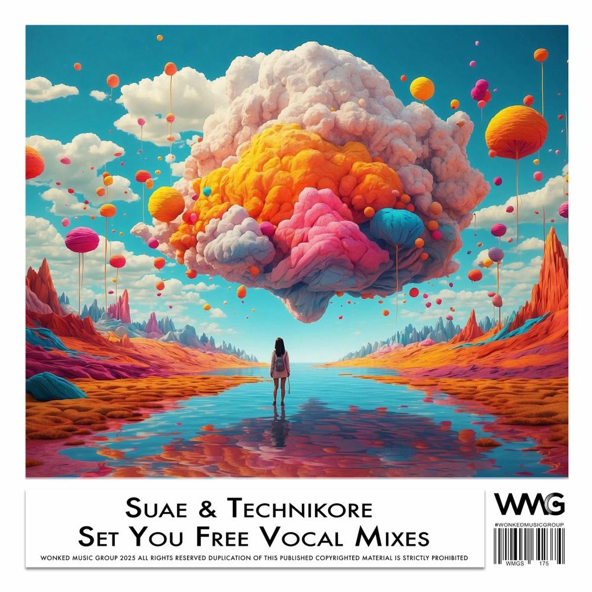 Album cover of Set You Free Vocal Mixes