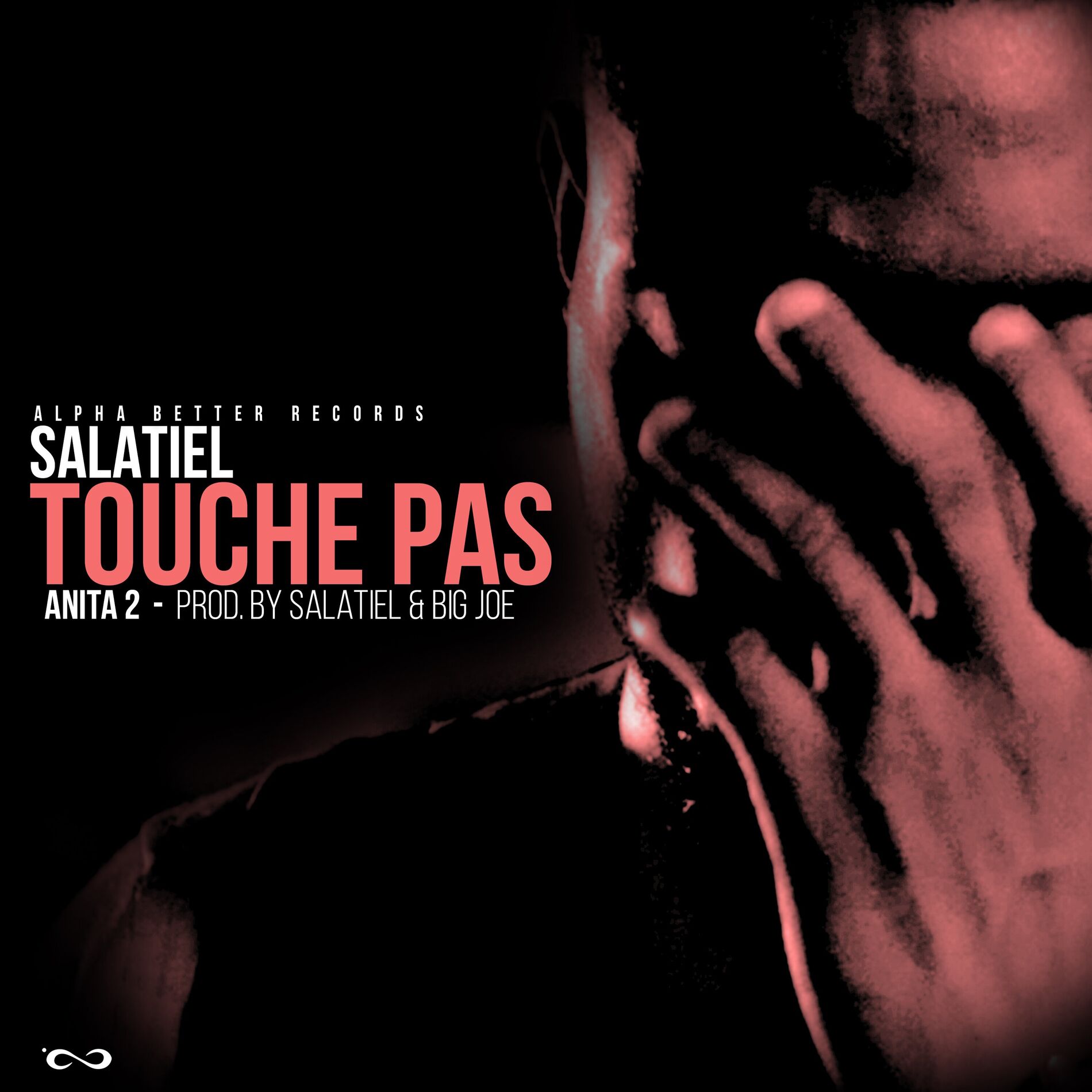 Album cover of Touche Pas (Anita 2)