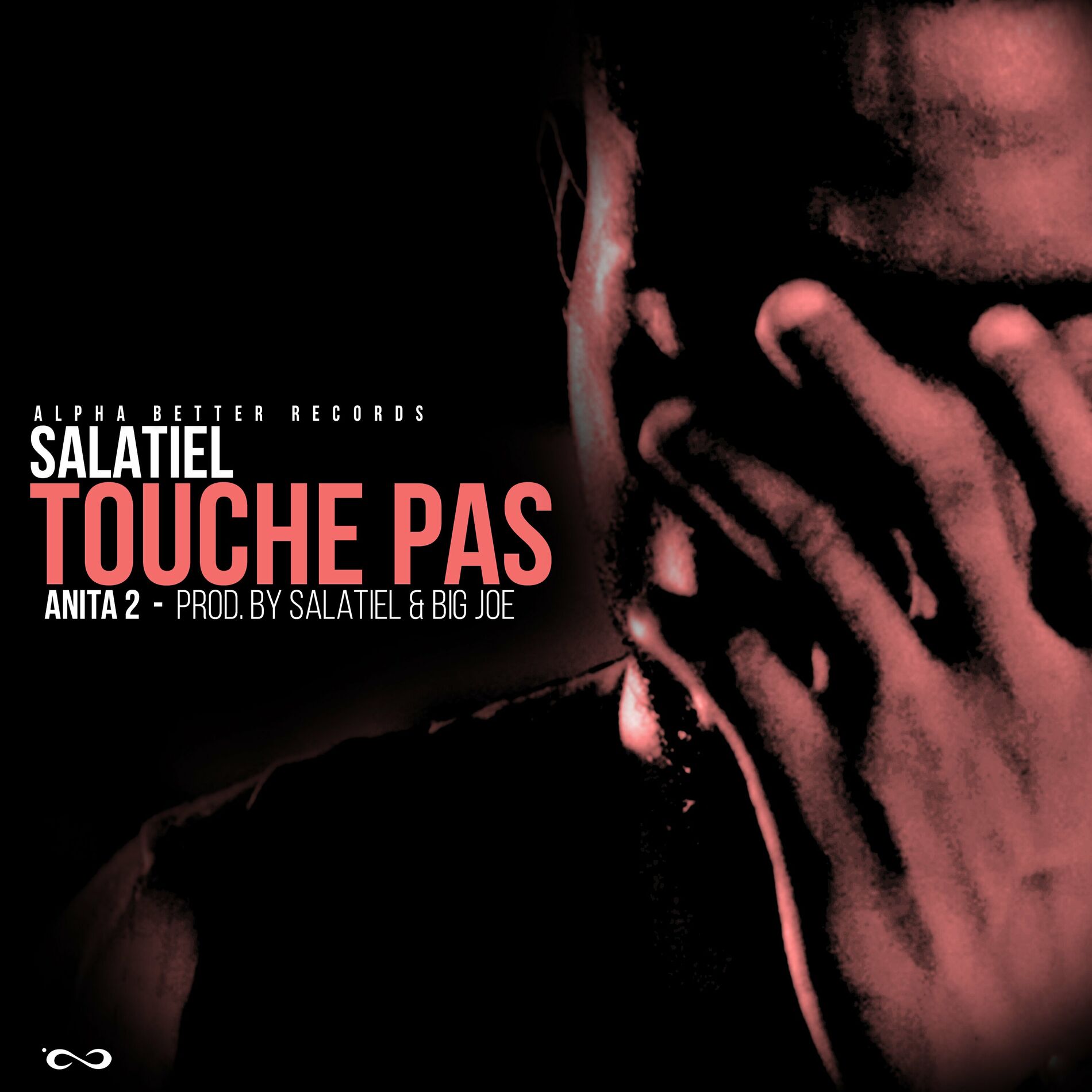 Album cover of Touche Pas (Anita 2)