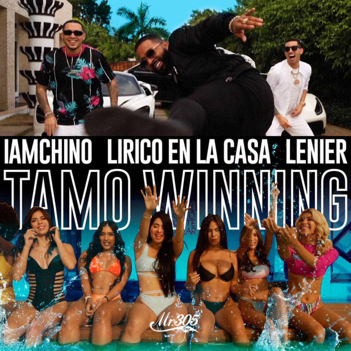 Album cover of Tamo Winning