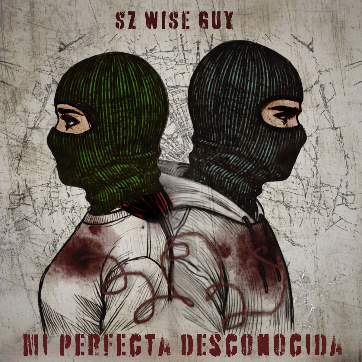 Album cover of Mi Perfecta Desconocida
