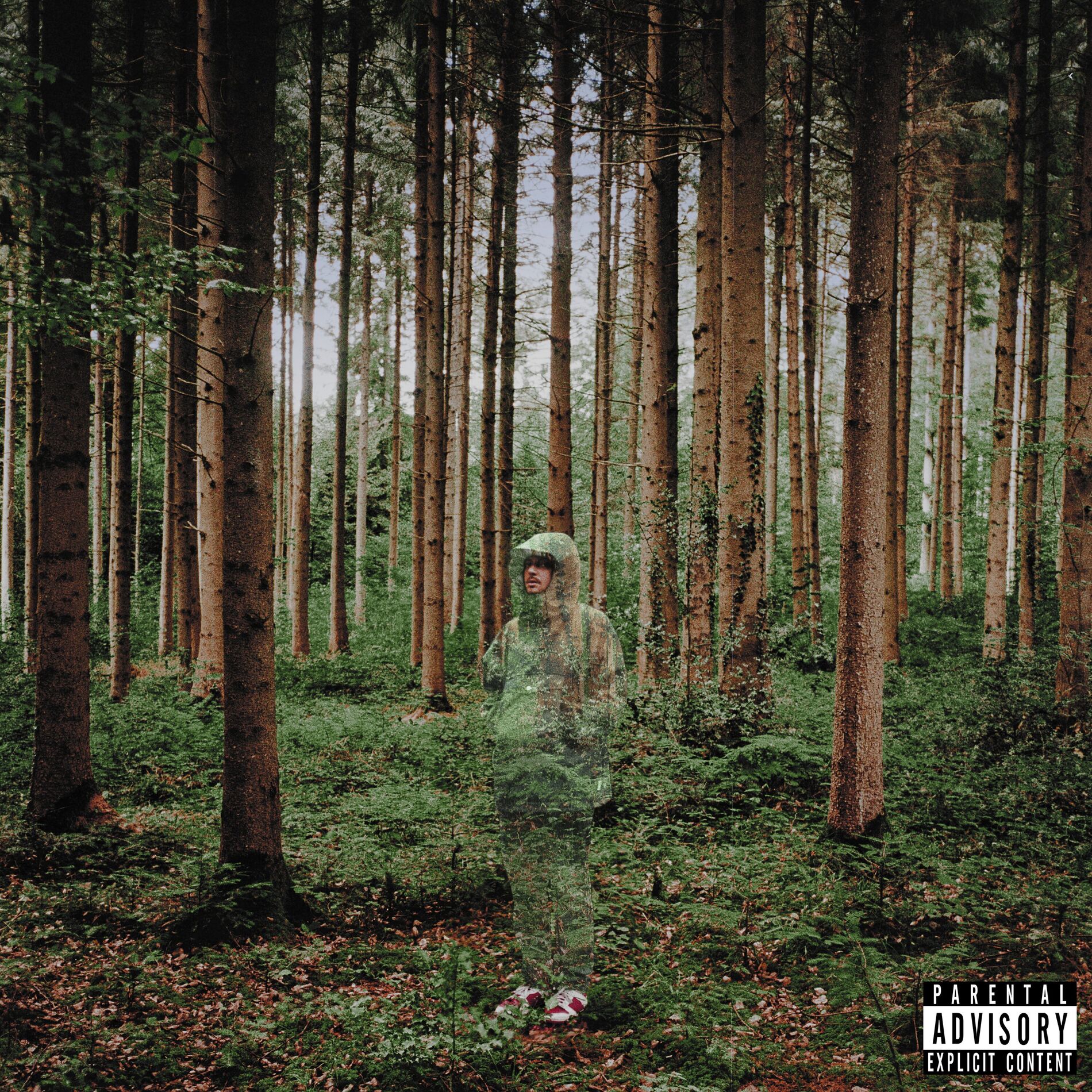 Album cover of Something To Hide
