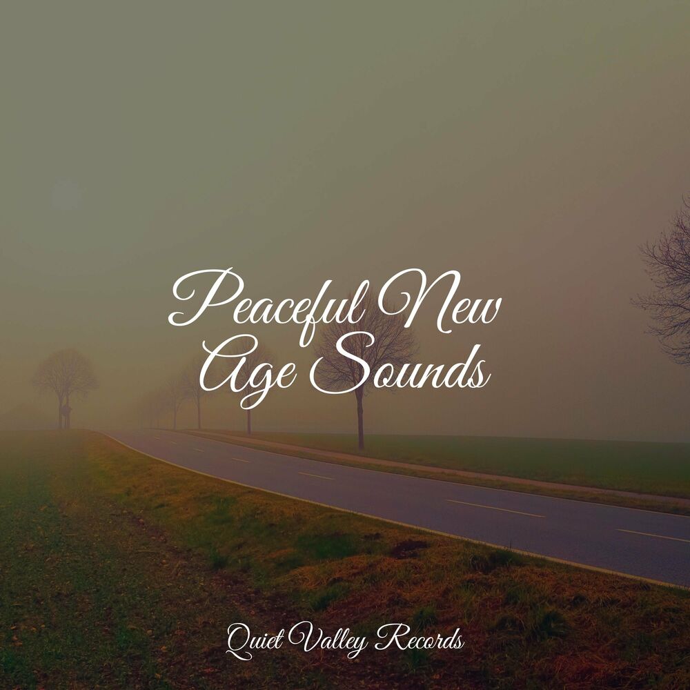 Picture of Peaceful New Age Sounds