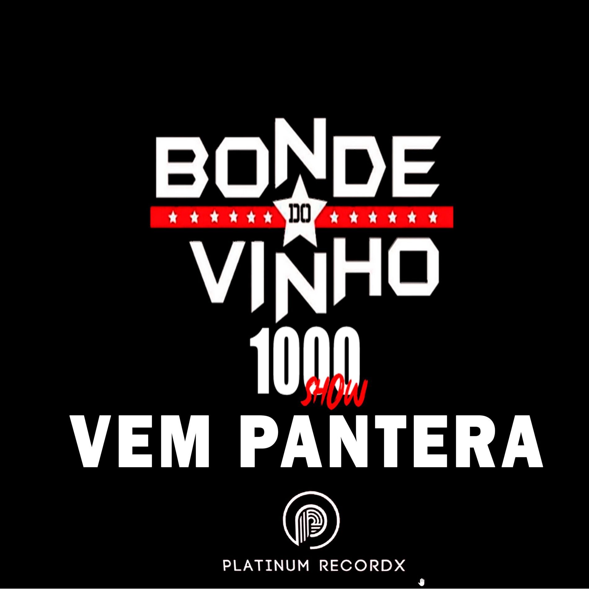 Album cover of Vem Pantera 1000 Show (Ao Vivo)