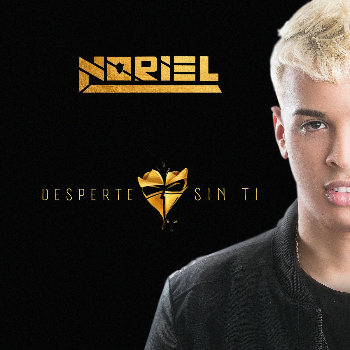 Album cover of Desperte Sin Ti