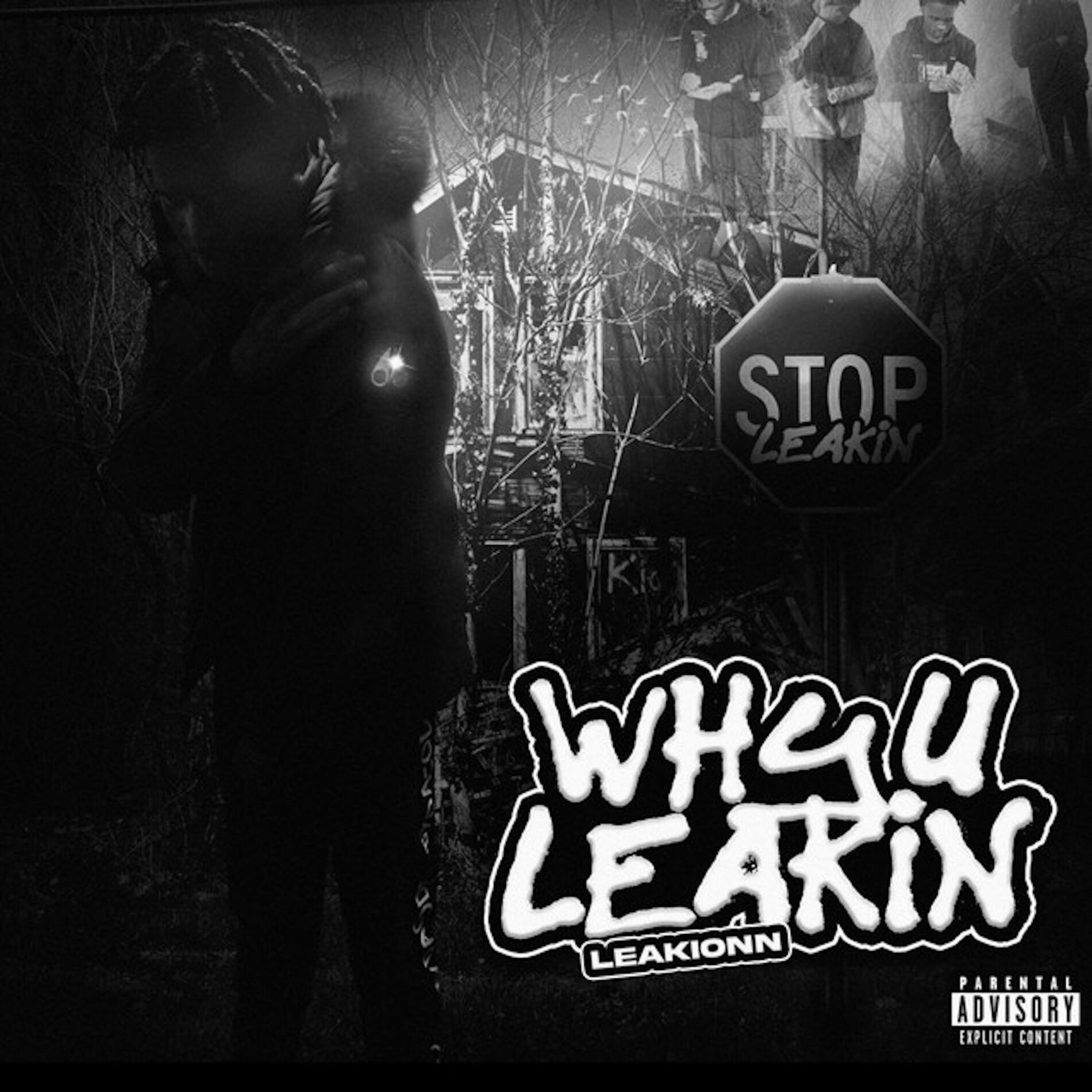 Album cover of Why U Leakin