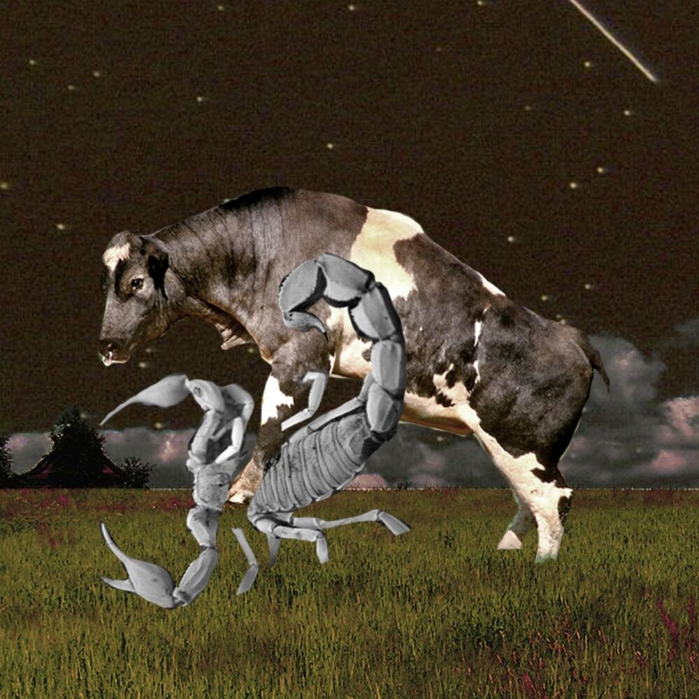 Picture of Taurus