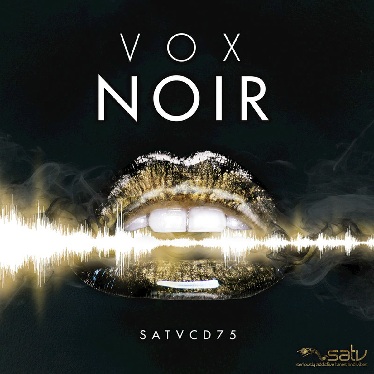 Album cover of Vox Noir