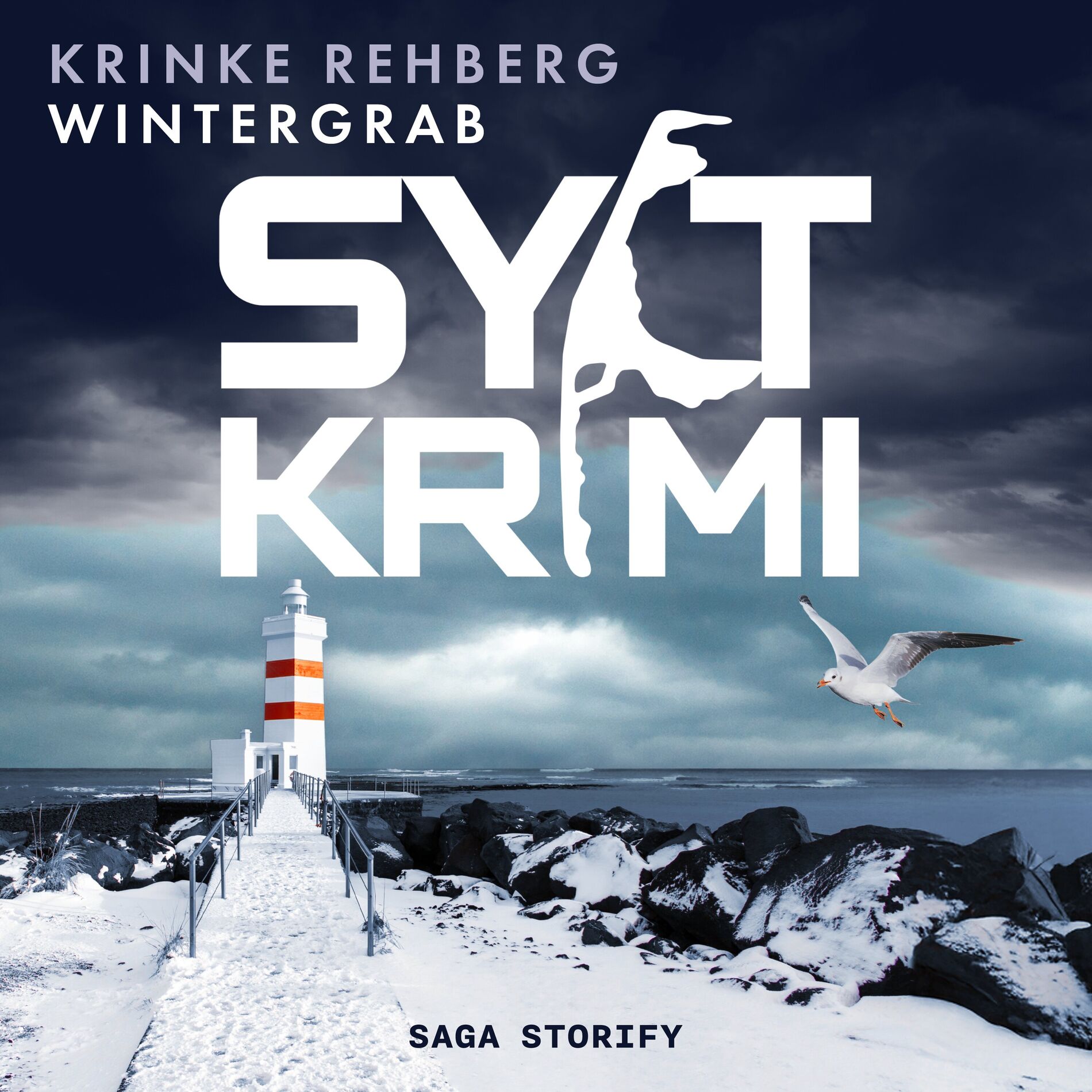 Album cover of SYLTKRIMI Wintergrab: Nordseekrimi (KÜSTENKRIMI)