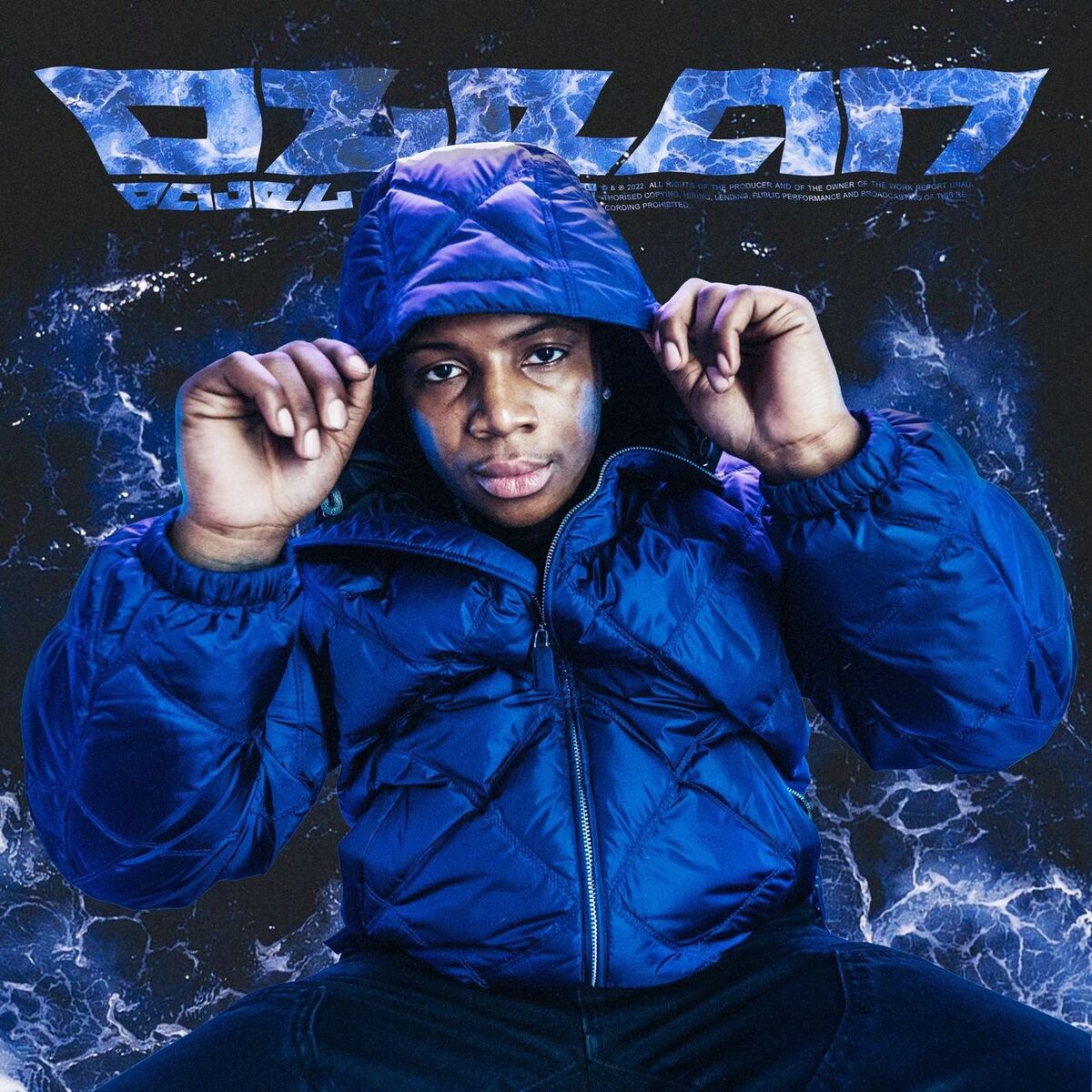Album cover of Ozean