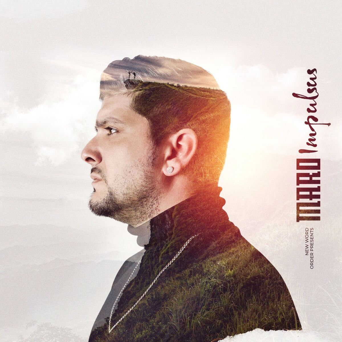 Album cover of Impulsus