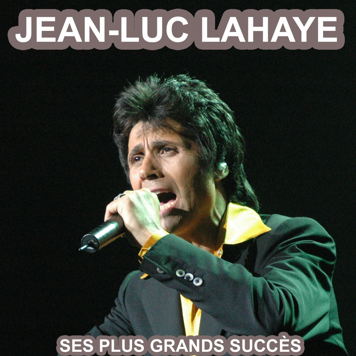 Album cover of Les plus grandes chansons de jean-luc lahaye